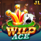 Wild Ace card slot artwork